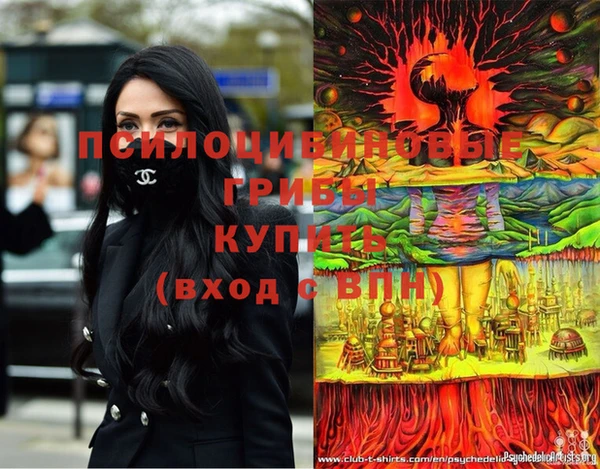 мдпв Алексеевка