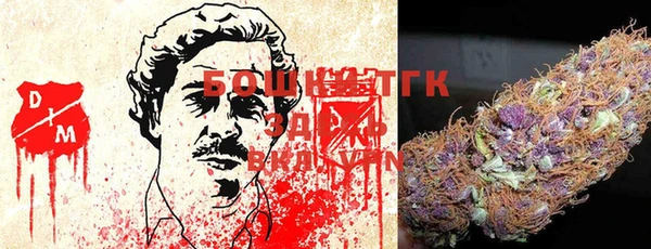 тгк Алексин