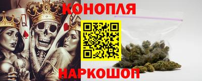 mdpv Краснознаменск