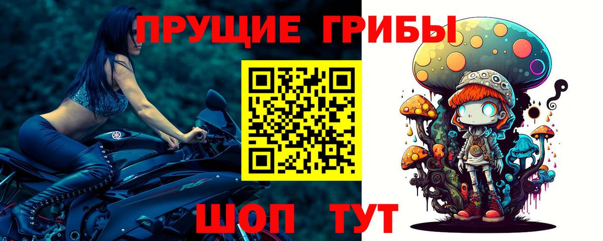 Галлюциногенные грибы GOLDEN TEACHER Карпинск