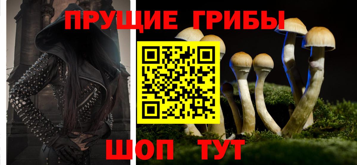 Псилоцибиновые грибы Cubensis  Вход с VPN  Галлюциногенные грибы Magic Shrooms  Карпинск 